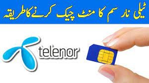 telenor free minutes check code